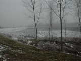 Tn DSC 0060